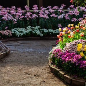 farm-experiences-img-15.jpg